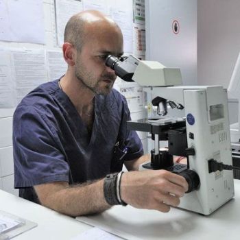 Martorell clínicas veterinarias Martorell clínicas veterinarias